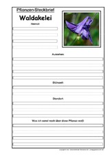 Pflanzensteckbrief-Waldakelei.pdf